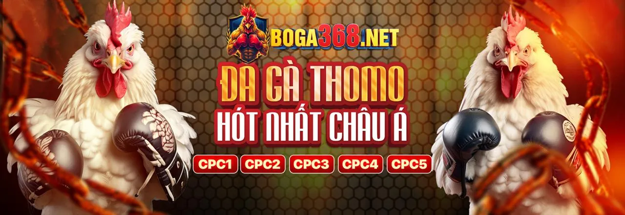 Đá Gà Trực Tuyến ax88 info